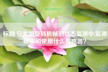 標(biāo)題 在大型旋轉(zhuǎn)機(jī)械的狀態(tài)監(jiān)測(cè)中,監(jiān)測(cè)軸振動(dòng)使用什么傳感器？