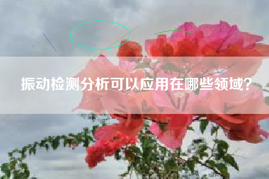振動(dòng)檢測(cè)分析可以應(yīng)用在哪些領(lǐng)域？