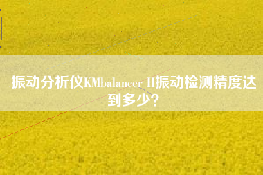 振動(dòng)分析儀KMbalancer II振動(dòng)檢測(cè)精度達(dá)到多少？