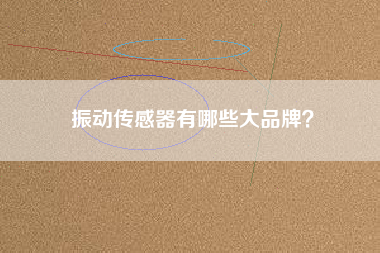 振動(dòng)傳感器有哪些大品牌？