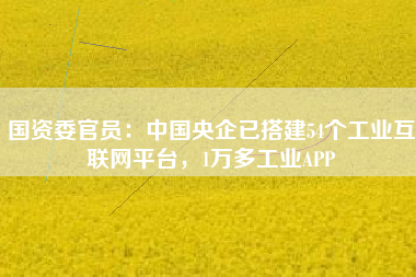 國資委官員：中國央企已搭建54個(gè)工業(yè)互聯(lián)網(wǎng)平臺(tái)，1萬多工業(yè)APP