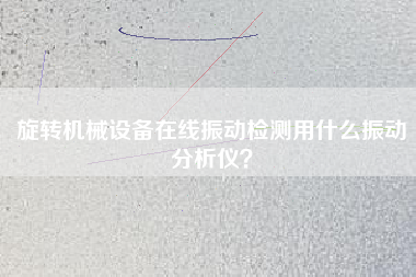 旋轉(zhuǎn)機(jī)械設(shè)備在線振動檢測用什么振動分析儀？