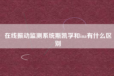 在線振動(dòng)監(jiān)測(cè)系統(tǒng)斯凱孚和ina有什么區(qū)別